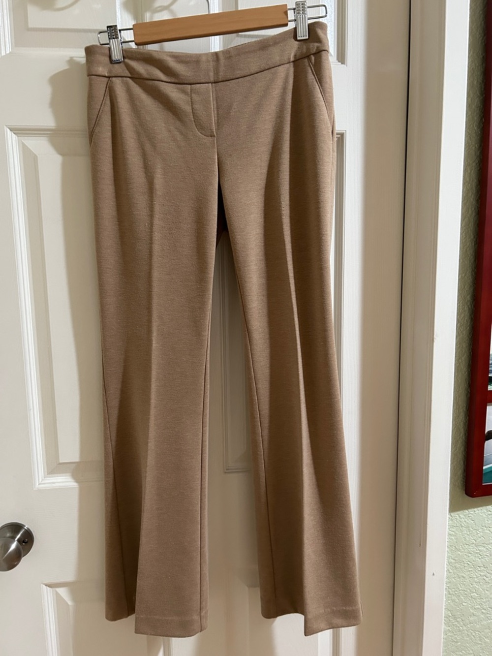 New York & Company Camel Flare Knit Pants